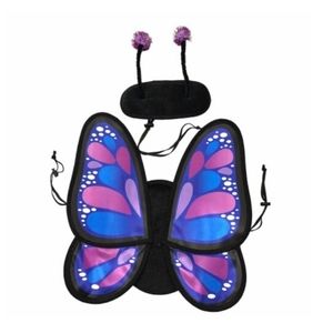 Butterfly Pet Costume